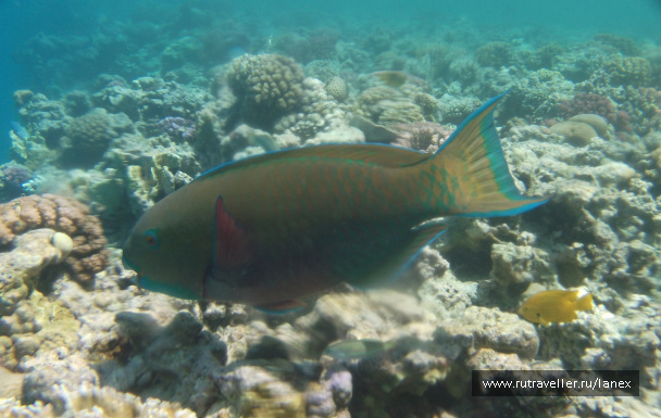 photo 109644