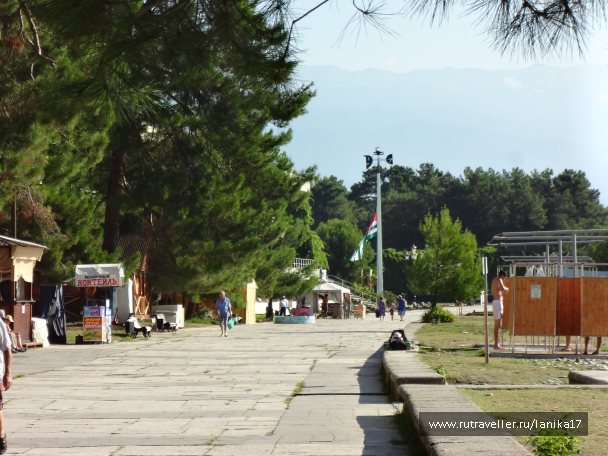 photo 1449813