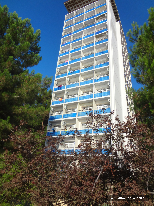 photo 1449814