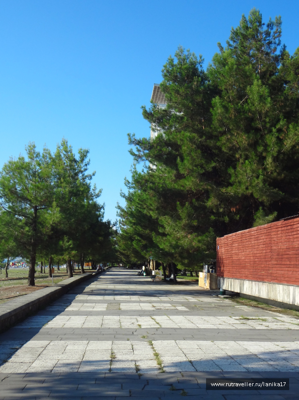 photo 1449815