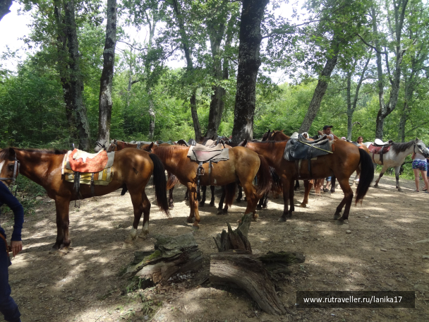 photo 1449816