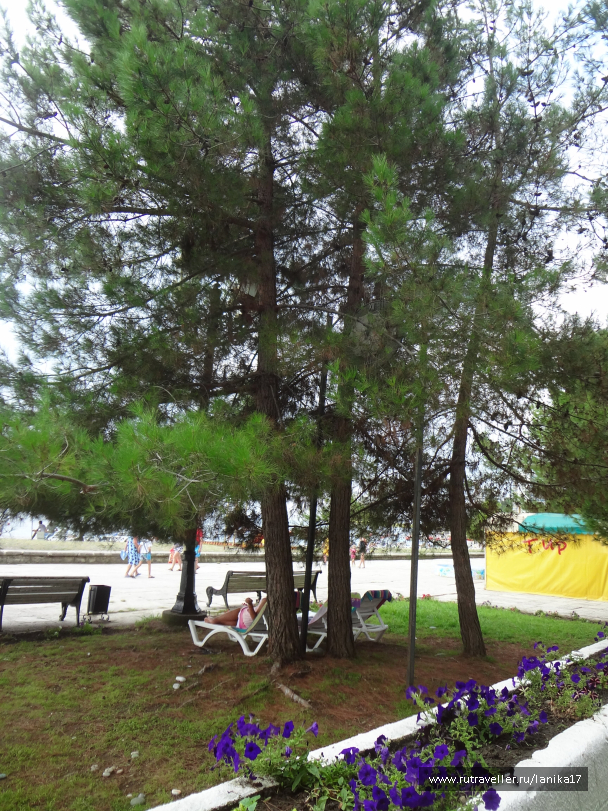 photo 1449818