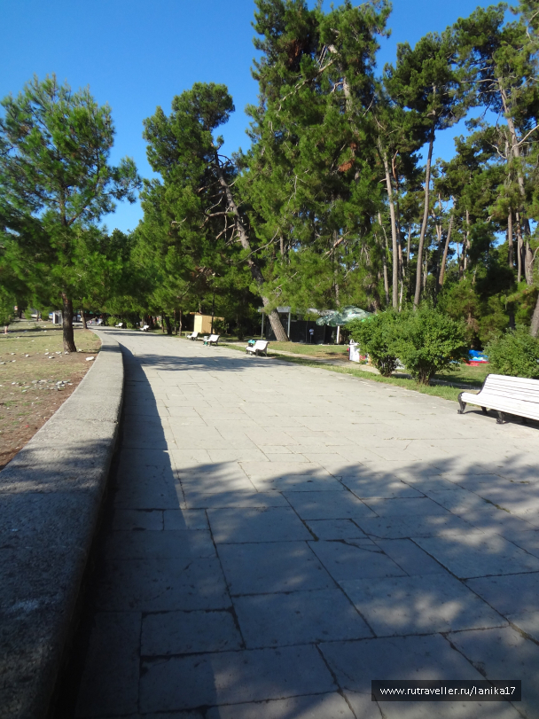 photo 1449819