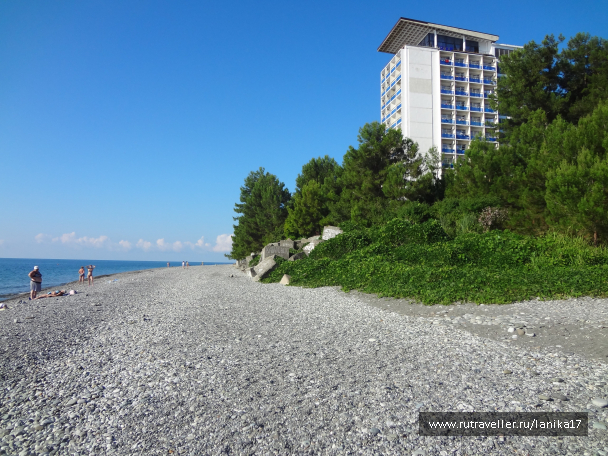 photo 1449821