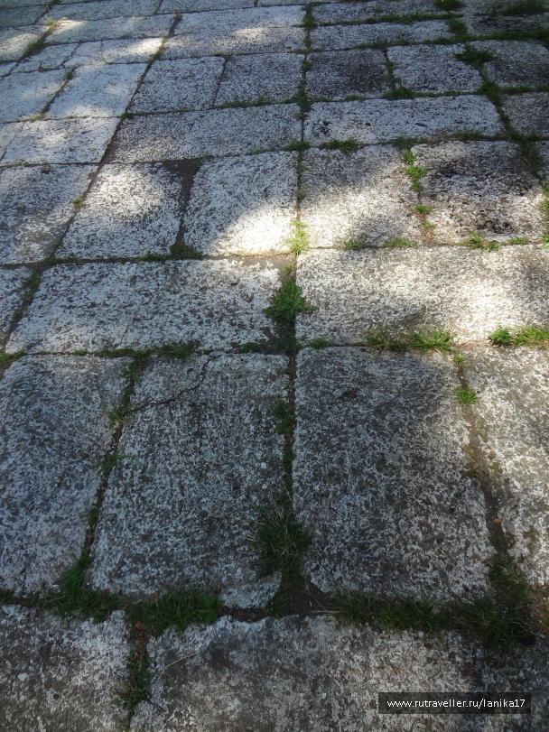 photo 1449824