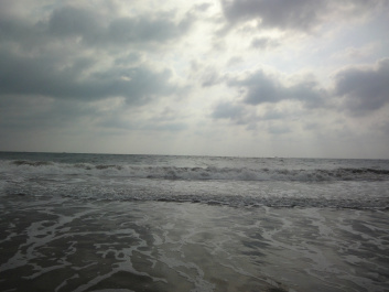 photo 304284