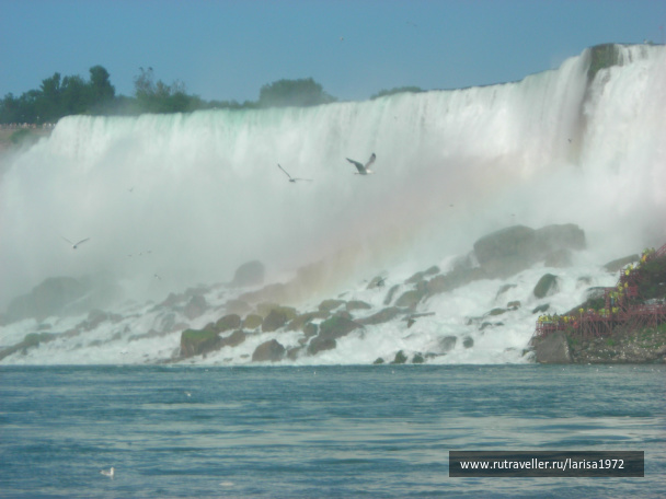 photo 460393