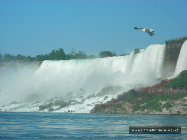 photo 460394