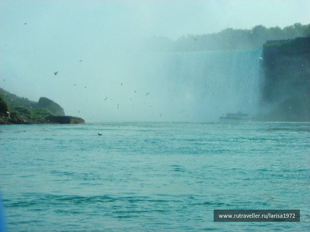 photo 460397