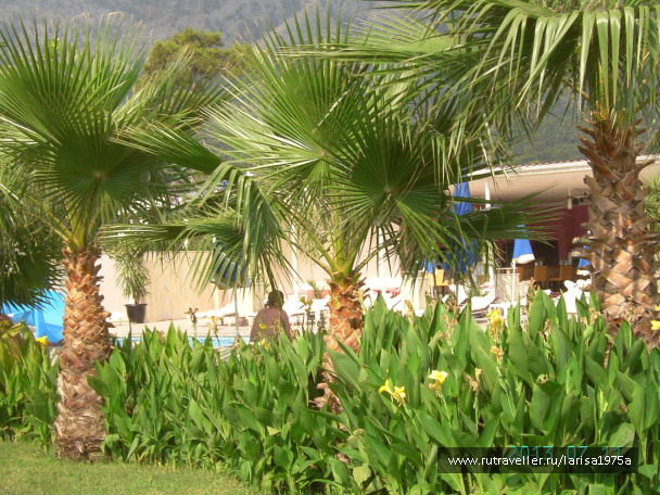 photo 466961
