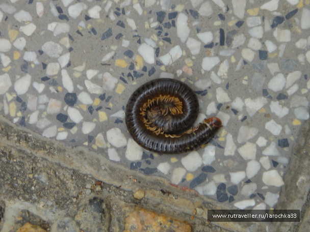photo 1223756
