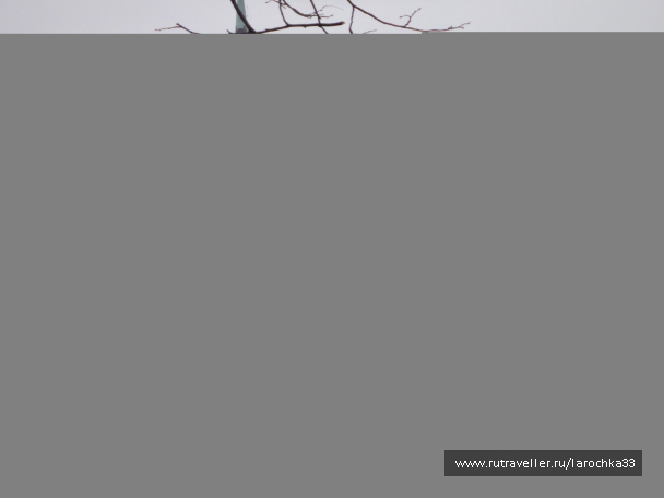photo 1236682