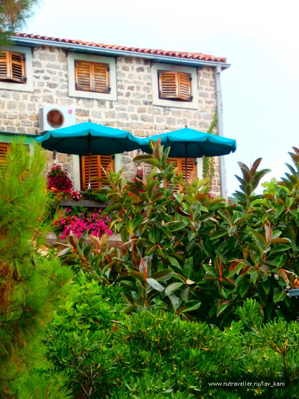 photo 842719