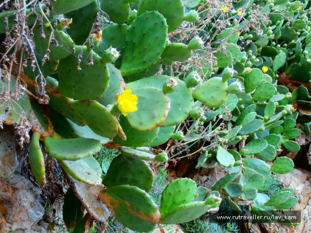 photo 842726