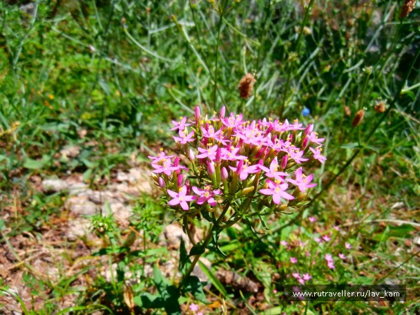 photo 844399