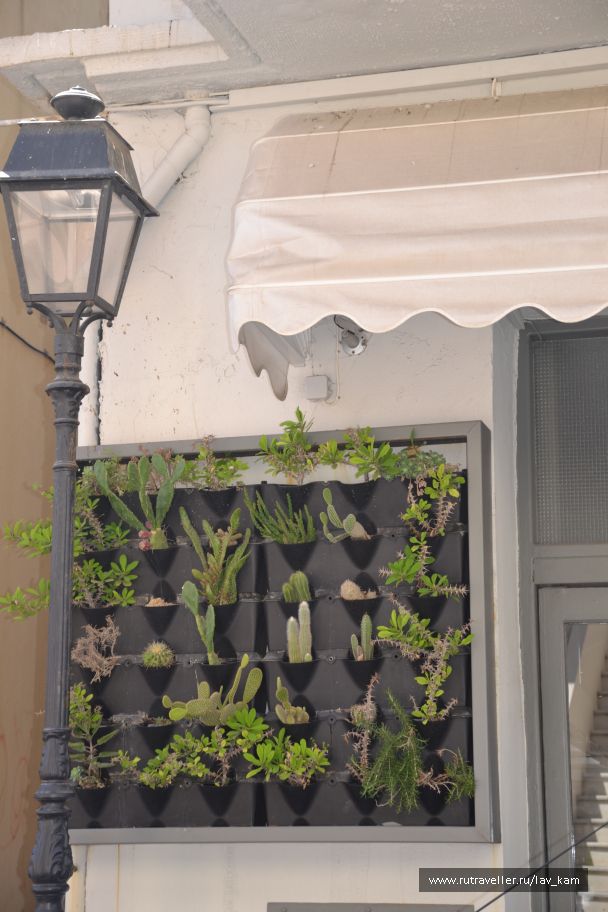 photo 1090576