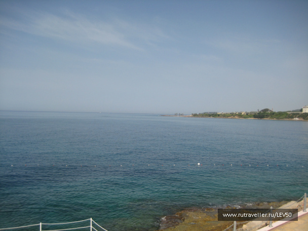 photo 390715