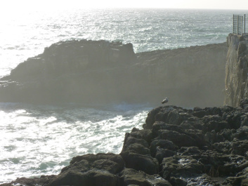 photo 306816
