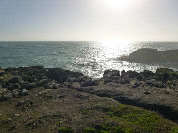 photo 306817