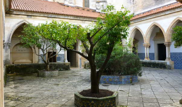 P1050961