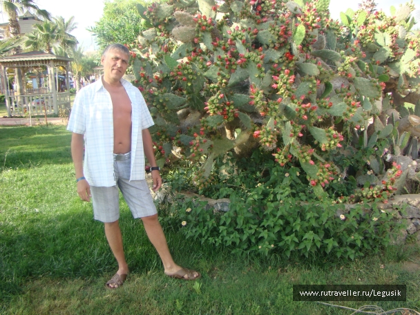 photo 748792