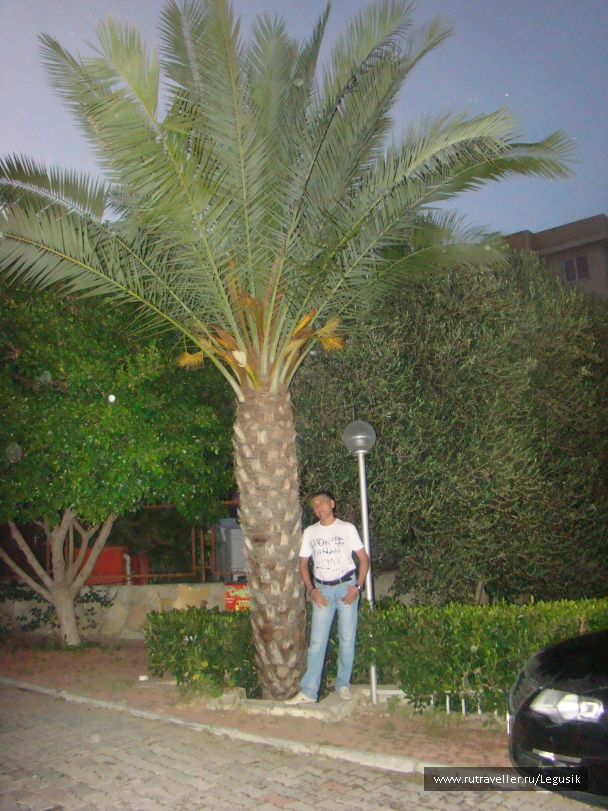 photo 748818