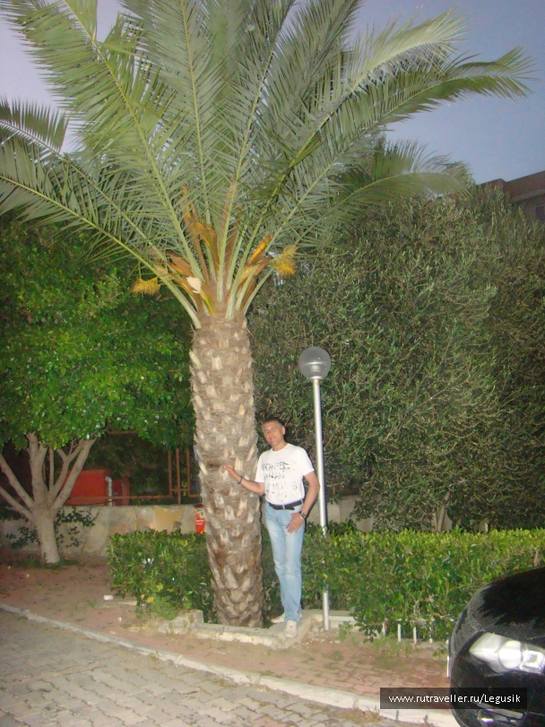 photo 748819