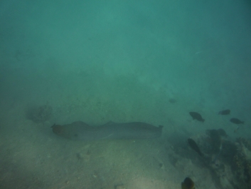 photo 842130