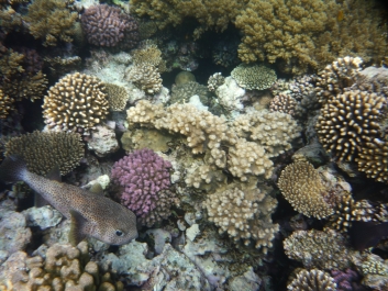 photo 842132