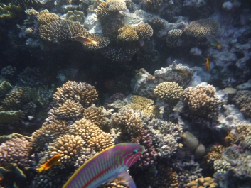photo 842136