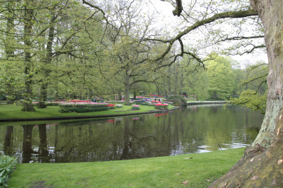 photo 276910
