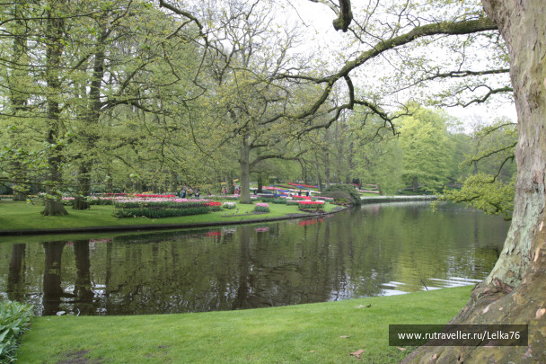 photo 276910