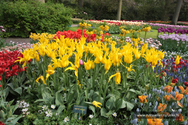 photo 276914