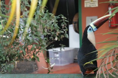 photo 276929