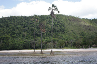 photo 276931