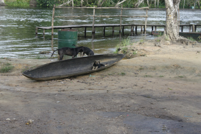 photo 276939