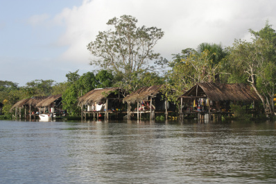 photo 276944