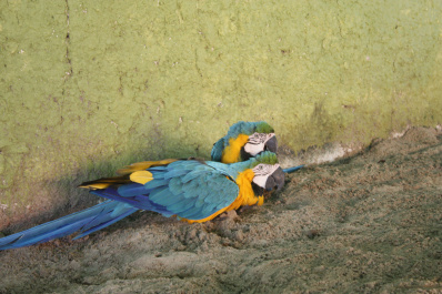 photo 276959