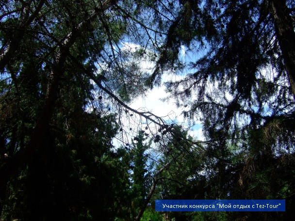 photo 792371