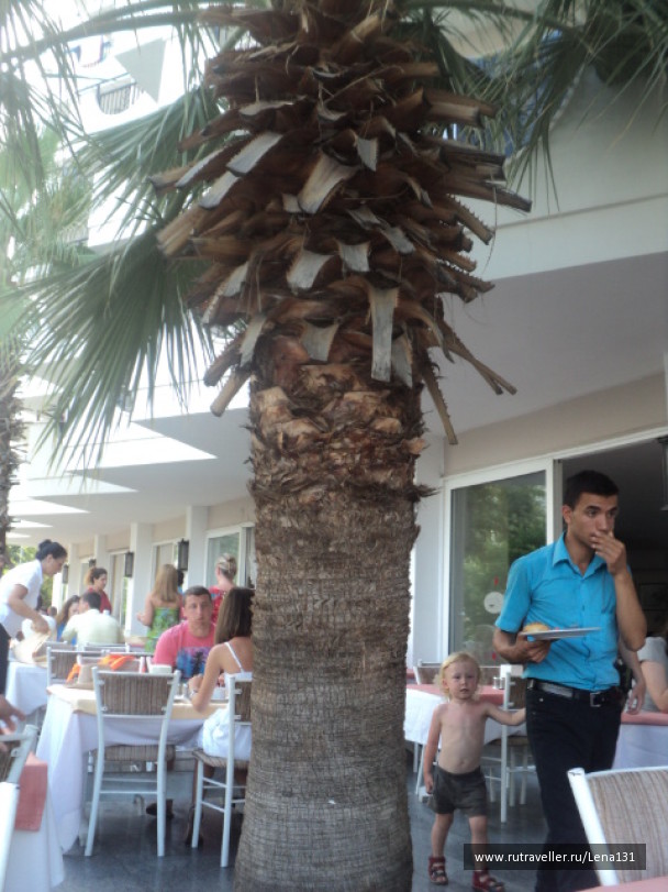 photo 1014112