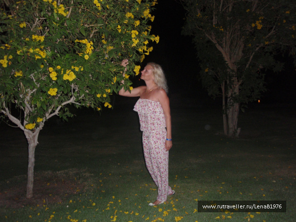 photo 406321