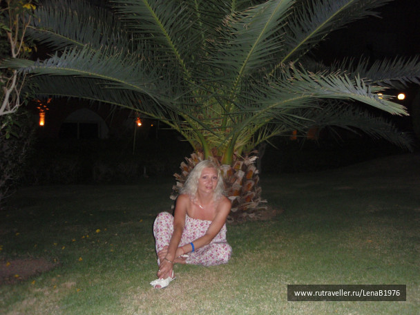 photo 406322