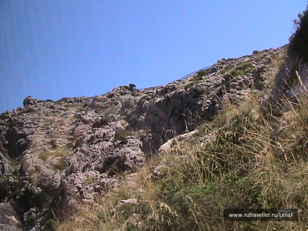 photo 93503