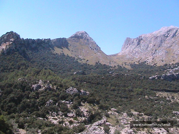 photo 93512