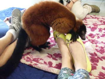 photo 497032