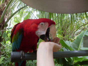 photo 497034