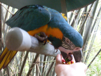 photo 497035