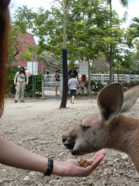 photo 497047