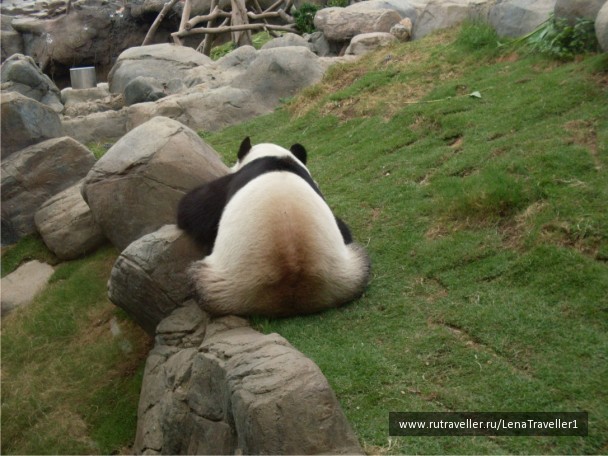 photo 39432