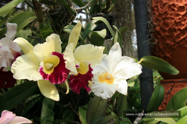 photo 785760